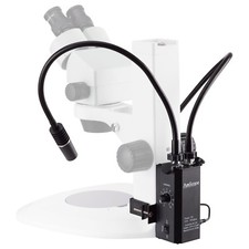 AmScope 6 Watt LED doppio