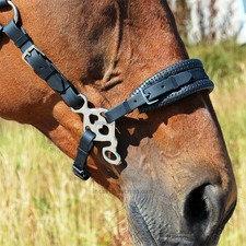 Love Hackamore Nastro Naso