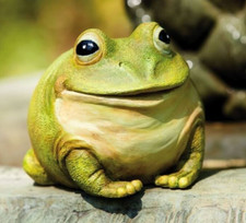 6 in resina di rana grassa