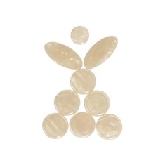 9 pezzi di guscio chiave