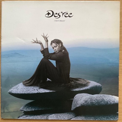 Des ree ain - i, vinyl
