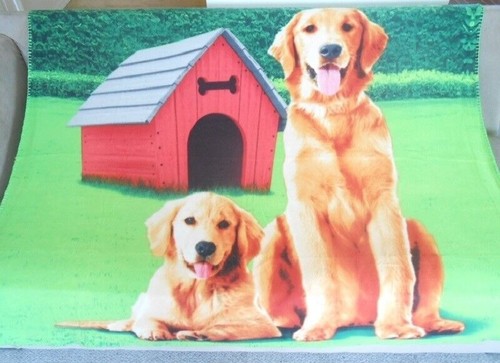 Nuovo morbido golden retriever - golden,