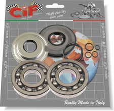 Kit cuscinetti e paraoli