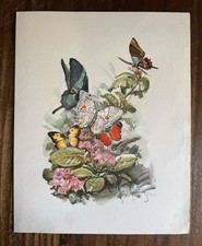 Cartellina / Folder - Italia Navigazione Italian Line Italmar N S Centro America