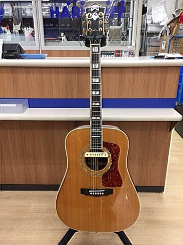 Guild d55 acoustic safe - guild,