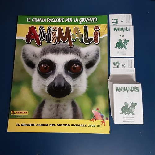 Album vuoto set - album, 288