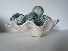 Grande guscio di vongole Tridacna Gigas bellissimo esemplare