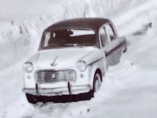 CALABRIA_COSENZA_LA SILA_PIANO