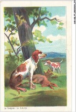 CAR-ABLP7-0612-CHIEN - Il