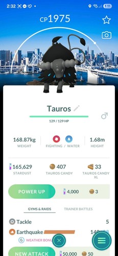 Pokemon paldean tauros - pokemon,