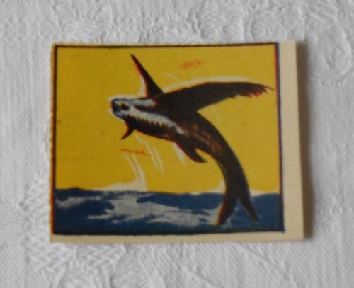 Figurina albo delle meraviglie - albo,