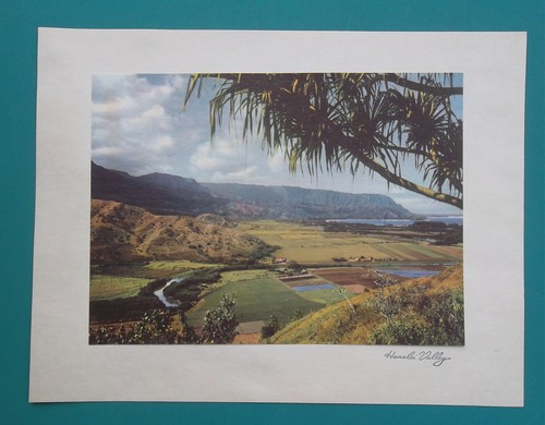 Hawaii valle hanalei - di,