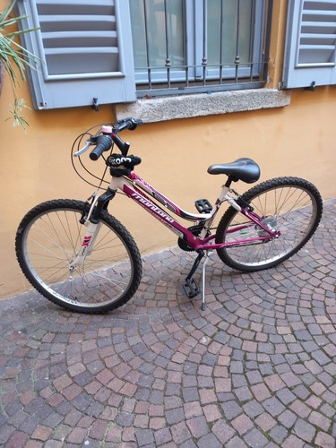 Bicicletta ragazza montana - bicicletta,