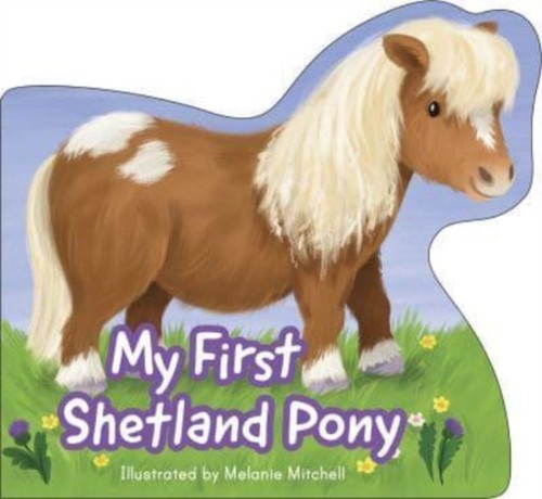 First shetland pony board - shetland, (board