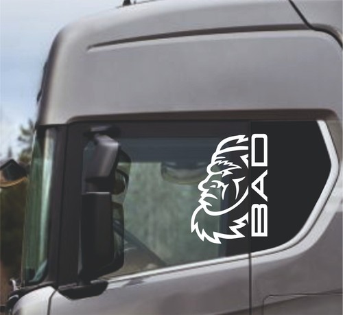 Adesivi camion carrozzeria - adesivi,