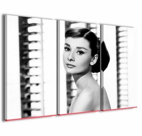 Quadro moderno 100 cm - moderno, x