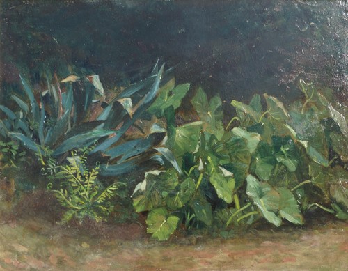Pezzo prato olio - di,