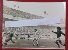 FOTOGRAFIA 23/11/1978 COPPA