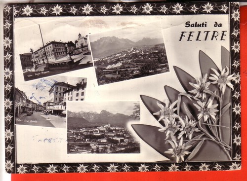 Cartolina feltre n - , b/n
