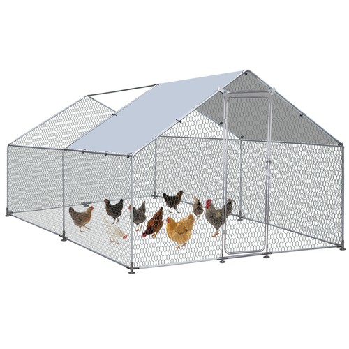 Pollaio 10x13ft walk sicuro - 10x13ft, walk-in