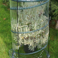 SERRA da giardino POP-UP