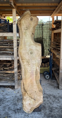 Tavola legno ciliegio - tavola, di
