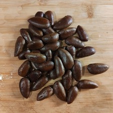 20 semi Asimina Triloba (Paw Paw, banano di montagna o del nord)