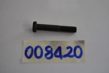 Crankcase screw engine