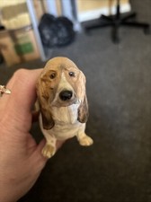 Bassett Hound Figure Displayed