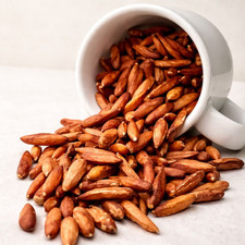 Terminalia Catappa Semi Vitali