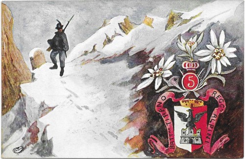 Alpini reggimento - alpini, 5°reggimento