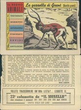 R@R@ FIGURINA DEL REGNO