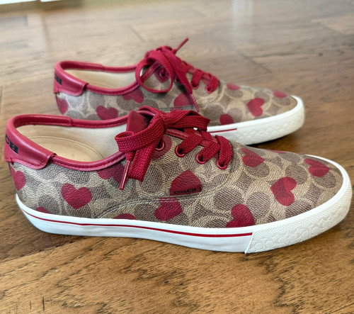 Scarpe skate coach citysole - skate,