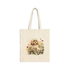 Cavapoo, Maltipoo, Barboncino