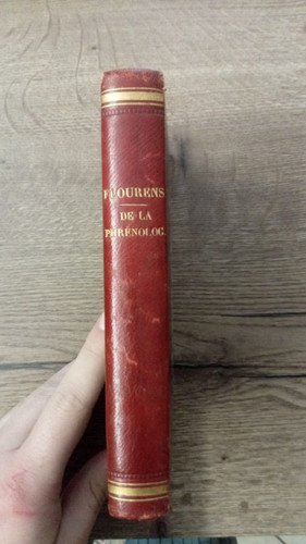 Flourens phrenologie - la,
