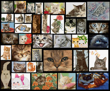 OLTRE 400 SCHEMI A PUNTO CROCE