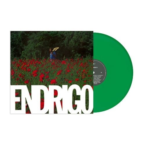 Sergio endrigo lp - endrigo,