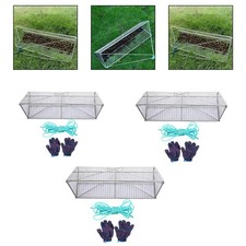 Campo di lumaca di lumaca