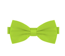 PAPILLON VERDE CHIARO FARFALLA