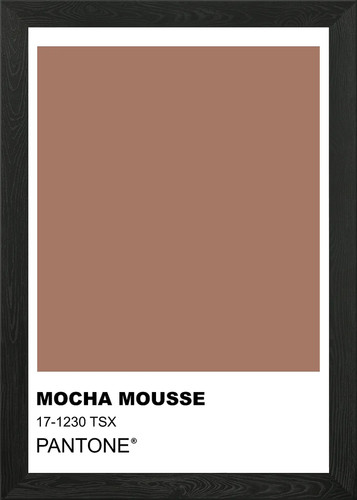 Mocha mousse pantone color - mousse,