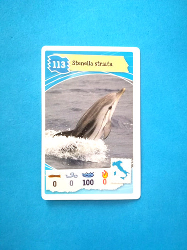 Carta avventure nella natura - carta,