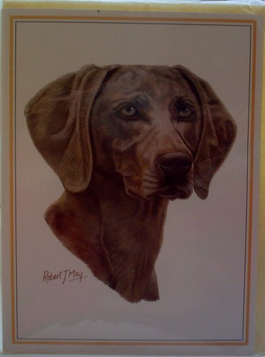 Weimaraner blank greeting - weimaraner, card