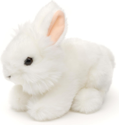 Coniglio angora bianco - -, d'angora