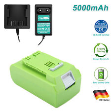 Per Greenworks G-24 24V 29842 29852 G24B2 29837 5.0AH 24V batteria/caricabatterie agli ioni di litio