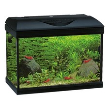 Acquario completo Amtra Basic LED 40 nero 25 Lt 42,5 × 23,5 × 33 cm h    