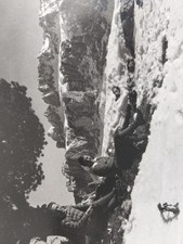 Cartolina Antica Stevia Val Gardena Verso Gruppo Sella Formato Piccolo Bn