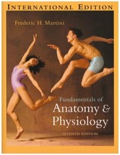 Fundamentals of Anatomy &