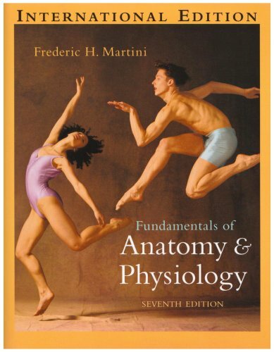 Fundamentals anatomy - fundamentals,