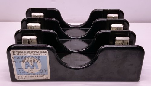 Gatto maratona 6r60a3b - gatto,