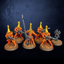 Fire Dragons PAINTED